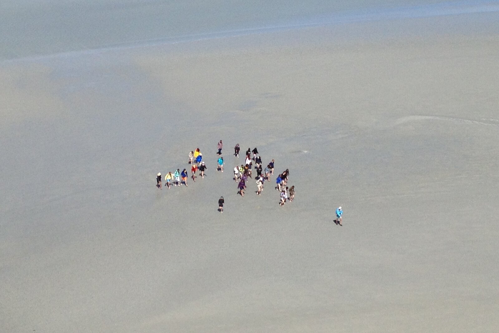 A group crossing the bay of Mont-Saint-Michel on foot with a guide